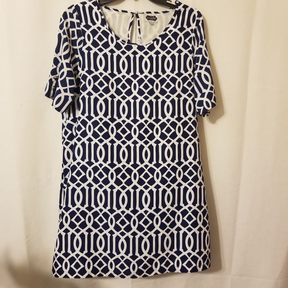Mud Pie Blue and White Shift Dress